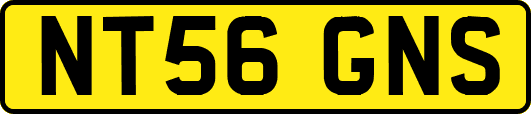 NT56GNS