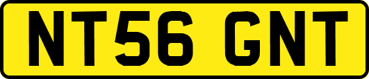 NT56GNT