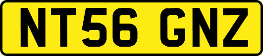 NT56GNZ