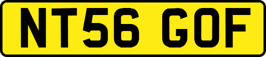 NT56GOF