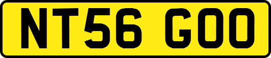 NT56GOO