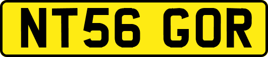 NT56GOR