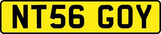 NT56GOY