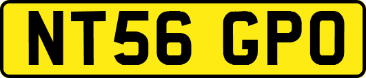 NT56GPO