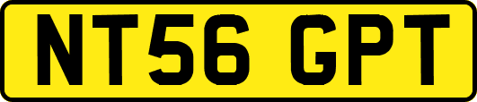 NT56GPT