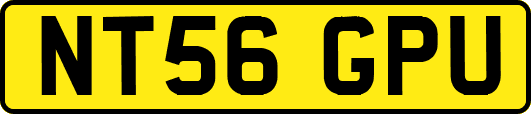 NT56GPU