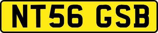 NT56GSB
