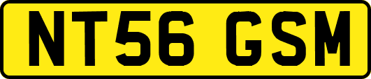 NT56GSM