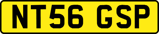 NT56GSP