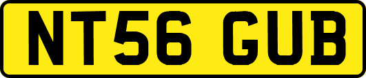 NT56GUB