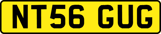 NT56GUG