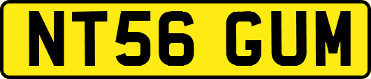 NT56GUM