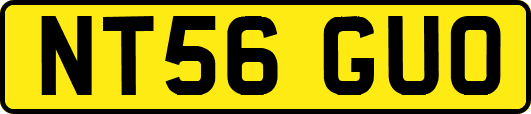 NT56GUO