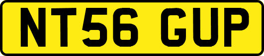NT56GUP