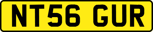 NT56GUR