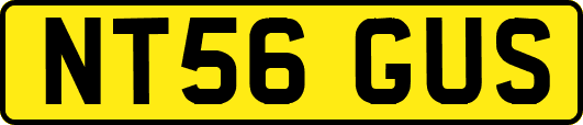 NT56GUS