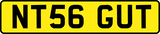NT56GUT