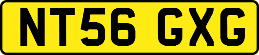 NT56GXG