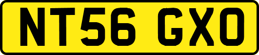 NT56GXO
