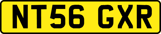 NT56GXR