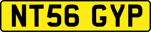 NT56GYP