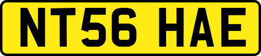 NT56HAE