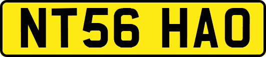 NT56HAO