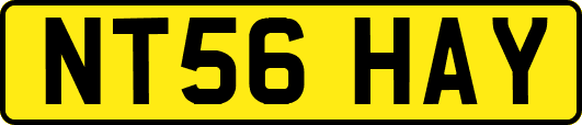 NT56HAY