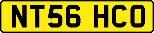 NT56HCO