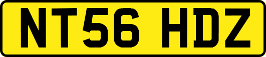NT56HDZ