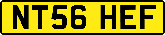 NT56HEF