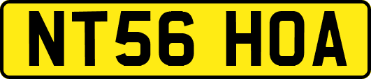 NT56HOA
