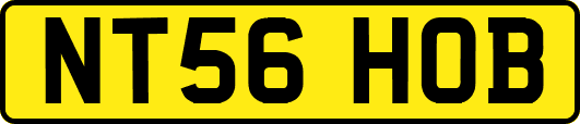 NT56HOB
