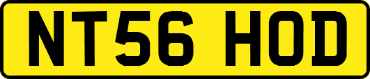 NT56HOD