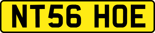 NT56HOE