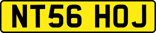 NT56HOJ