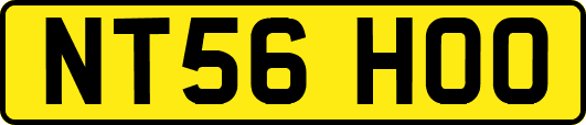 NT56HOO