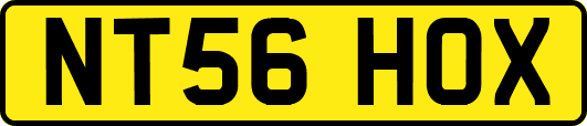 NT56HOX