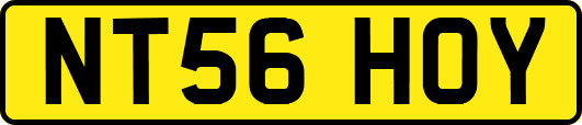 NT56HOY
