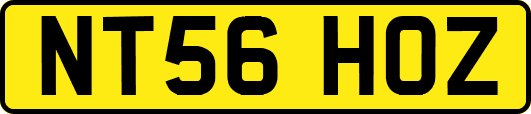 NT56HOZ