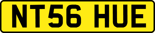 NT56HUE