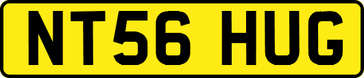 NT56HUG
