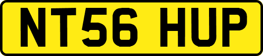 NT56HUP