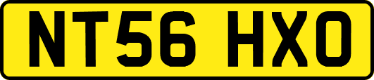 NT56HXO