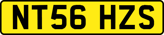 NT56HZS
