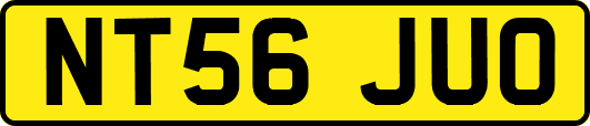 NT56JUO