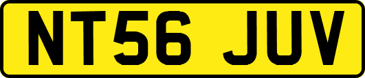 NT56JUV