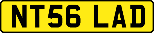 NT56LAD