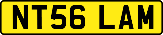 NT56LAM