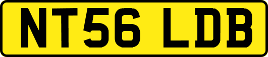NT56LDB